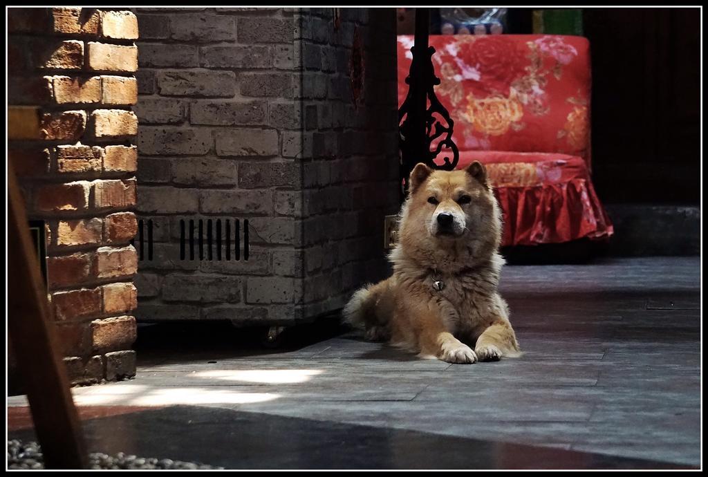 Red Lantern House Hostel Beijing Bagian luar foto