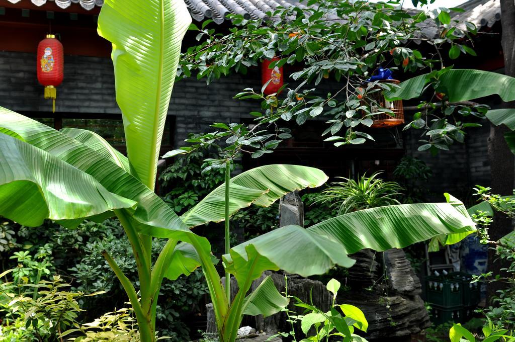 Red Lantern House Hostel Beijing Bagian luar foto